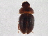  ( - BIOUG07472-G11)  @14 [ ] CreativeCommons - Attribution (2014) CBG Photography Group Centre for Biodiversity Genomics