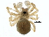  ( - BIOUG13671-A05)  @13 [ ] CreativeCommons - Attribution (2015) CBG Photography Group Centre for Biodiversity Genomics