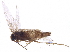  ( - BIOUG13753-D01)  @12 [ ] CreativeCommons - Attribution (2015) CBG Photography Group Centre for Biodiversity Genomics