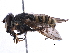 ( - BIOUG14321-H07)  @13 [ ] CreativeCommons - Attribution (2016) CBG Photography Group Centre for Biodiversity Genomics