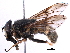  ( - BIOUG14499-G07)  @13 [ ] CreativeCommons - Attribution (2016) CBG Photography Group Centre for Biodiversity Genomics