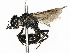  ( - BIOUG14766-A04)  @11 [ ] CreativeCommons - Attribution Share - Alike (2023) CBG Photography Group Centre for Biodiversity Genomics