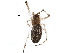  ( - BIOUG22854-G10)  @14 [ ] CreativeCommons - Attribution (2015) CBG Photography Group Centre for Biodiversity Genomics