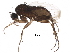  ( - BIOUG24529-H09)  @14 [ ] CreativeCommons - Attribution (2016) CBG Photography Group Centre for Biodiversity Genomics