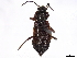  ( - BIOUG22200-G01)  @11 [ ] CreativeCommons - Attribution (2020) CBG Photography Group Centre for Biodiversity Genomics
