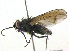  ( - BIOUG05051-H08)  @13 [ ] CreativeCommons - Attribution (2012) CBG Photography Group Centre for Biodiversity Genomics