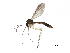  ( - BIOUG05242-B10)  @15 [ ] CreativeCommons - Attribution (2015) CBG Photography Group Centre for Biodiversity Genomics
