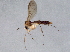  ( - BIOUG05242-B11)  @14 [ ] CreativeCommons - Attribution (2014) CBG Photography Group Centre for Biodiversity Genomics