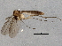  ( - BIOUG05242-D10)  @13 [ ] CreativeCommons - Attribution (2014) CBG Photography Group Centre for Biodiversity Genomics