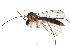 ( - BIOUG05242-G06)  @15 [ ] CreativeCommons - Attribution (2015) CBG Photography Group Centre for Biodiversity Genomics