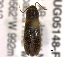  ( - BIOUG05148-F08)  @13 [ ] CreativeCommons - Attribution (2014) CBG Photography Group Centre for Biodiversity Genomics