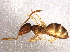  ( - BIOUG05327-E09)  @14 [ ] CreativeCommons - Attribution (2014) CBG Photography Group Centre for Biodiversity Genomics