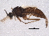  ( - BIOUG05789-A10)  @13 [ ] CreativeCommons - Attribution (2014) CBG Photography Group Centre for Biodiversity Genomics