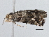  ( - BIOUG04561-F03)  @12 [ ] CreativeCommons - Attribution (2013) CBG Photography Group Centre for Biodiversity Genomics
