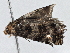  ( - BIOUG04561-F04)  @12 [ ] CreativeCommons - Attribution (2013) CBG Photography Group Centre for Biodiversity Genomics