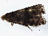  ( - BIOUG04663-C04)  @12 [ ] CreativeCommons - Attribution (2013) CBG Photography Group Centre for Biodiversity Genomics