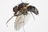  ( - BIOUG06143-C02)  @12 [ ] CreativeCommons - Attribution (2014) CBG Photography Group Centre for Biodiversity Genomics