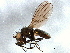  ( - BIOUG06291-E03)  @13 [ ] CreativeCommons - Attribution (2014) CBG Photography Group Centre for Biodiversity Genomics