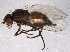  ( - BIOUG06300-F06)  @13 [ ] CreativeCommons - Attribution (2014) CBG Photography Group Centre for Biodiversity Genomics
