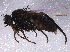  ( - BIOUG06617-C02)  @13 [ ] CreativeCommons - Attribution (2014) CBG Photography Group Centre for Biodiversity Genomics
