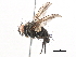  ( - BIOUG08956-F01)  @11 [ ] CreativeCommons - Attribution (2014) CBG Photography Group Centre for Biodiversity Genomics