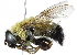  ( - BIOUG16544-C12)  @11 [ ] CreativeCommons - Attribution (2016) CBG Photography Group Centre for Biodiversity Genomics