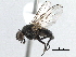  ( - BIOUG23449-E07)  @14 [ ] CreativeCommons - Attribution (2017) CBG Photography Group Centre for Biodiversity Genomics