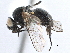  ( - BIOUG23450-H11)  @11 [ ] CreativeCommons - Attribution (2017) CBG Photography Group Centre for Biodiversity Genomics