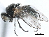  ( - BIOUG23610-F01)  @11 [ ] CreativeCommons - Attribution (2017) CBG Photography Group Centre for Biodiversity Genomics