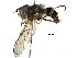  ( - BIOUG24099-A09)  @14 [ ] CreativeCommons - Attribution (2016) CBG Photography Group Centre for Biodiversity Genomics