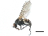  ( - BIOUG24306-G03)  @13 [ ] CreativeCommons - Attribution (2017) CBG Photography Group Centre for Biodiversity Genomics