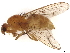 ( - BIOUG27157-G02)  @11 [ ] CreativeCommons - Attribution (2021) CBG Photography Group Centre for Biodiversity Genomics