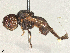  ( - BIOUG27226-A02)  @11 [ ] CreativeCommons - Attribution Share - Alike (2025) CBG Photography Group Centre for Biodiversity Genomics