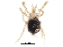  ( - BIOUG27597-F03)  @14 [ ] CreativeCommons - Attribution (2016) CBG Photography Group Centre for Biodiversity Genomics