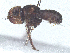  ( - BIOUG27473-H06)  @11 [ ] CreativeCommons - Attribution Share - Alike (2025) CBG Photography Group Centre for Biodiversity Genomics