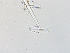  ( - LAR-180909-7069,7071)  @11 [ ] CreativeCommons  Attribution (by)  Unspecified Unspecified