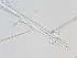  ( - LAR-180909-7069,7071)  @11 [ ] CreativeCommons  Attribution (by)  Unspecified Unspecified