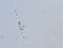  ( - LAR-180909-7078,7079)  @11 [ ] CreativeCommons  Attribution (by)  Unspecified Unspecified