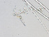  ( - LAR-180909-7078,7079)  @11 [ ] CreativeCommons  Attribution (by)  Unspecified Unspecified