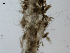  (Raspaciona - LAR-191102-PB020290,93)  @11 [ ] CreativeCommons  Attribution (by)  Unspecified Unspecified