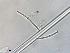  ( - P056-111012-3)  @11 [ ] CreativeCommons  Attribution (by)  Unspecified Unspecified