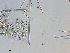  ( - P056-111012-3)  @11 [ ] CreativeCommons  Attribution (by)  Unspecified Unspecified