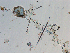  ( - P056-111012-3)  @11 [ ] CreativeCommons  Attribution (by)  Unspecified Unspecified