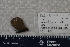  ( - P066-120409-1)  @11 [ ] CreativeCommons  Attribution (by)  Unspecified Unspecified