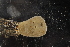  ( - P066-120409-2)  @11 [ ] CreativeCommons  Attribution (by)  Unspecified Unspecified