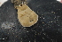  ( - P066-120409-2)  @11 [ ] CreativeCommons  Attribution (by)  Unspecified Unspecified