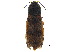  ( - BIOUG05859-D10)  @11 [ ] CreativeCommons - Attribution (2018) CBG Photography Group Centre for Biodiversity Genomics