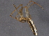  ( - BIOUG06154-G09)  @12 [ ] CreativeCommons - Attribution (2014) CBG Photography Group Centre for Biodiversity Genomics