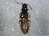  ( - BIOUG06498-B09)  @12 [ ] CreativeCommons - Attribution (2014) CBG Photography Group Centre for Biodiversity Genomics