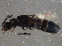  ( - BIOUG06498-C06)  @12 [ ] CreativeCommons - Attribution (2014) CBG Photography Group Centre for Biodiversity Genomics